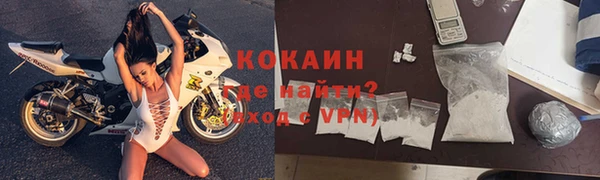 прущие грибы Кулебаки