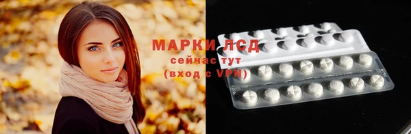 прущие грибы Кулебаки