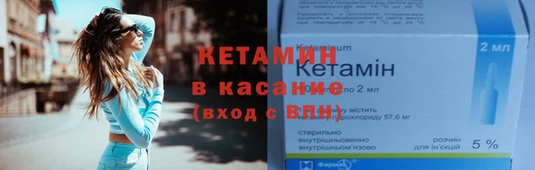 прущие грибы Кулебаки