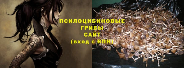 прущие грибы Кулебаки